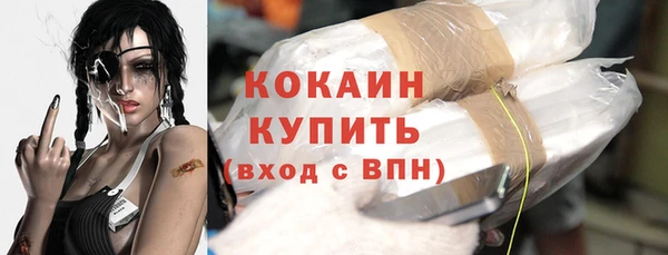 индика Верея