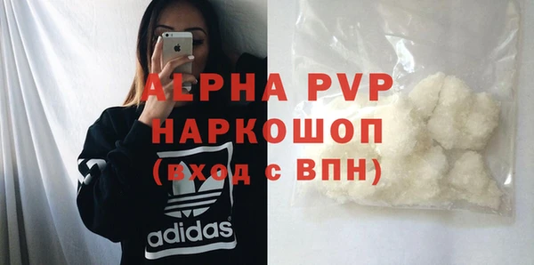 индика Верея