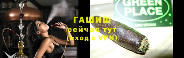 индика Верея