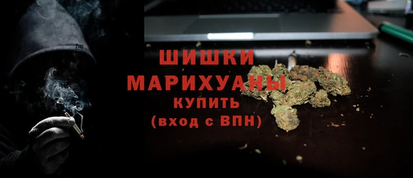 индика Верея