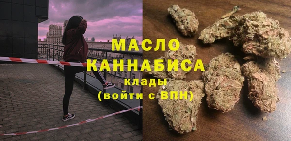 индика Верея