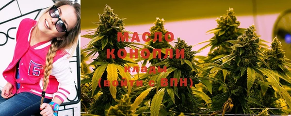 индика Верея
