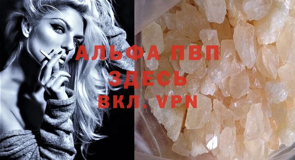 индика Верея