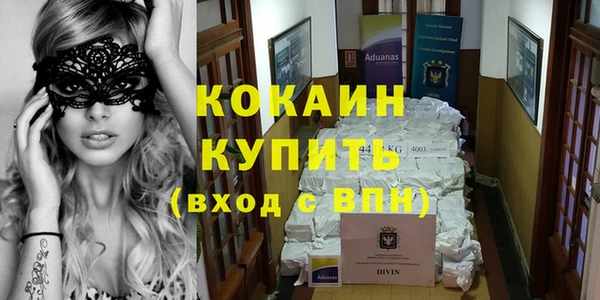 индика Верея