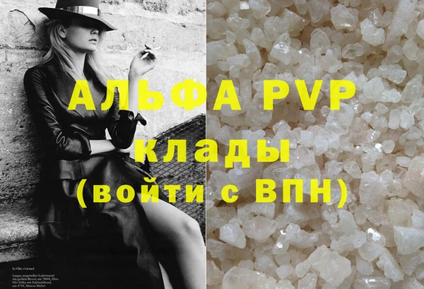 индика Верея
