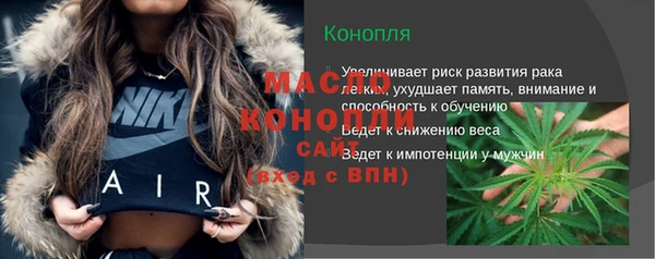 индика Верея